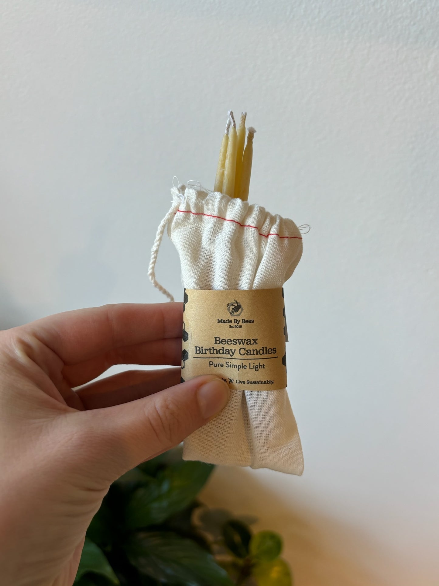 Beeswax Birthday Candles (12 per sachet)